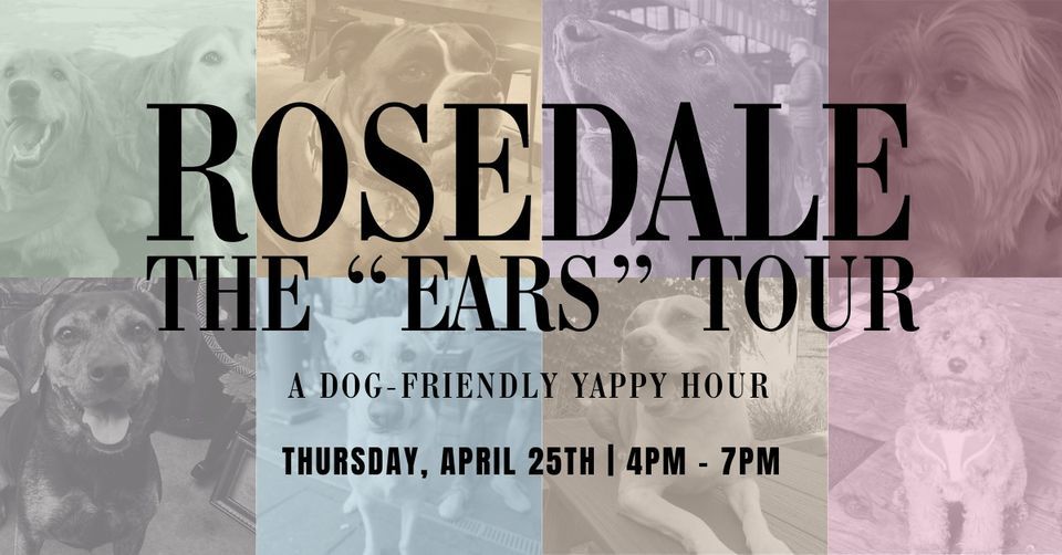 The "Ears" Tour: A Dog-Friendly Yappy Hour