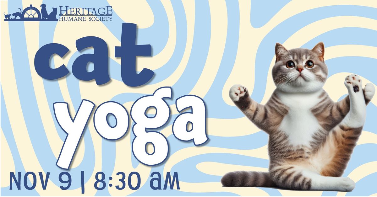 Cat Yoga