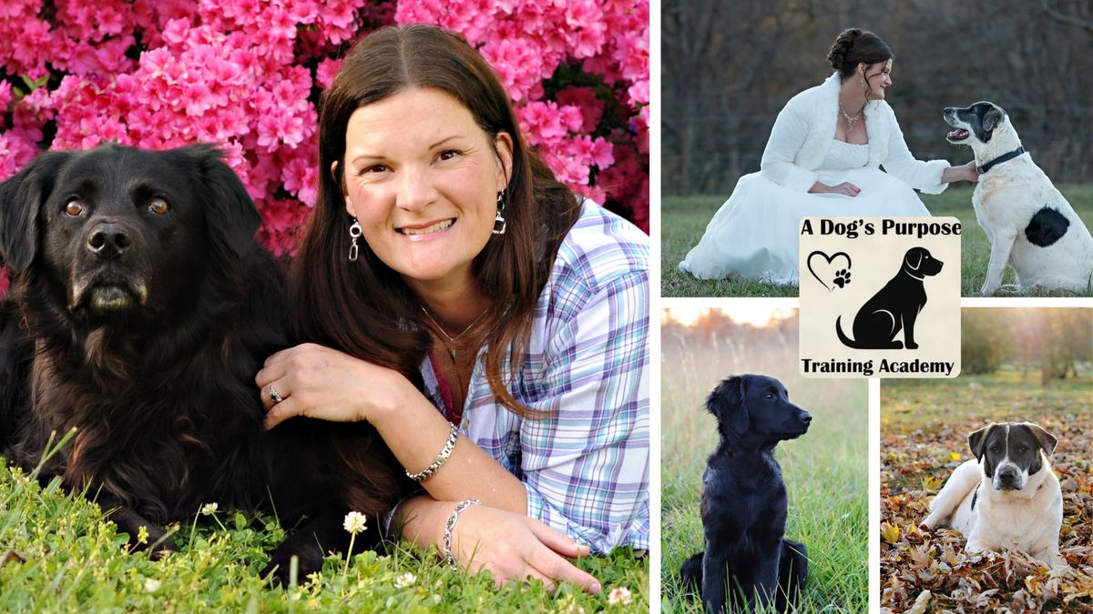 Small Business Spotlight: Krystle Myers with A Dog's Purpose Academy