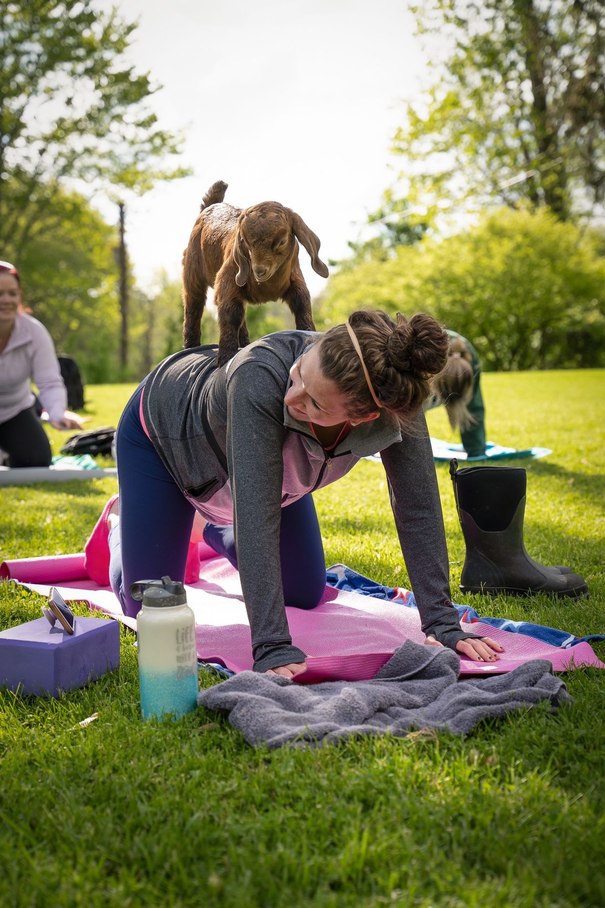 Goat Yoga