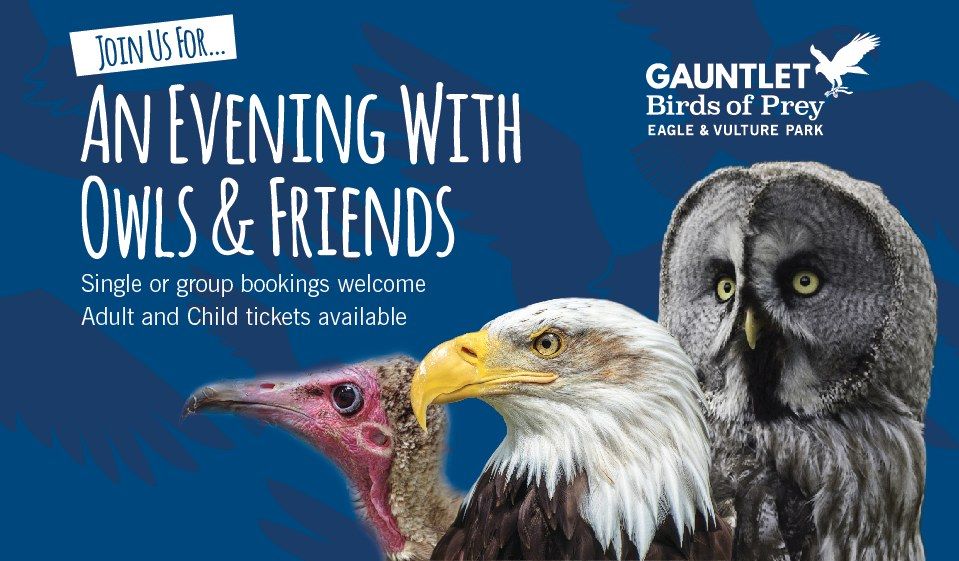 An Evening with Owls and Friends \u2013 Sunday 19th May, 2024