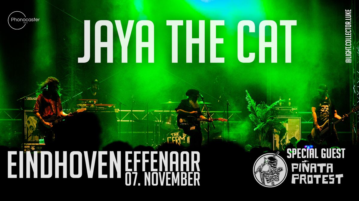 Jaya The Cat & Pinata Protest | Effenaar 