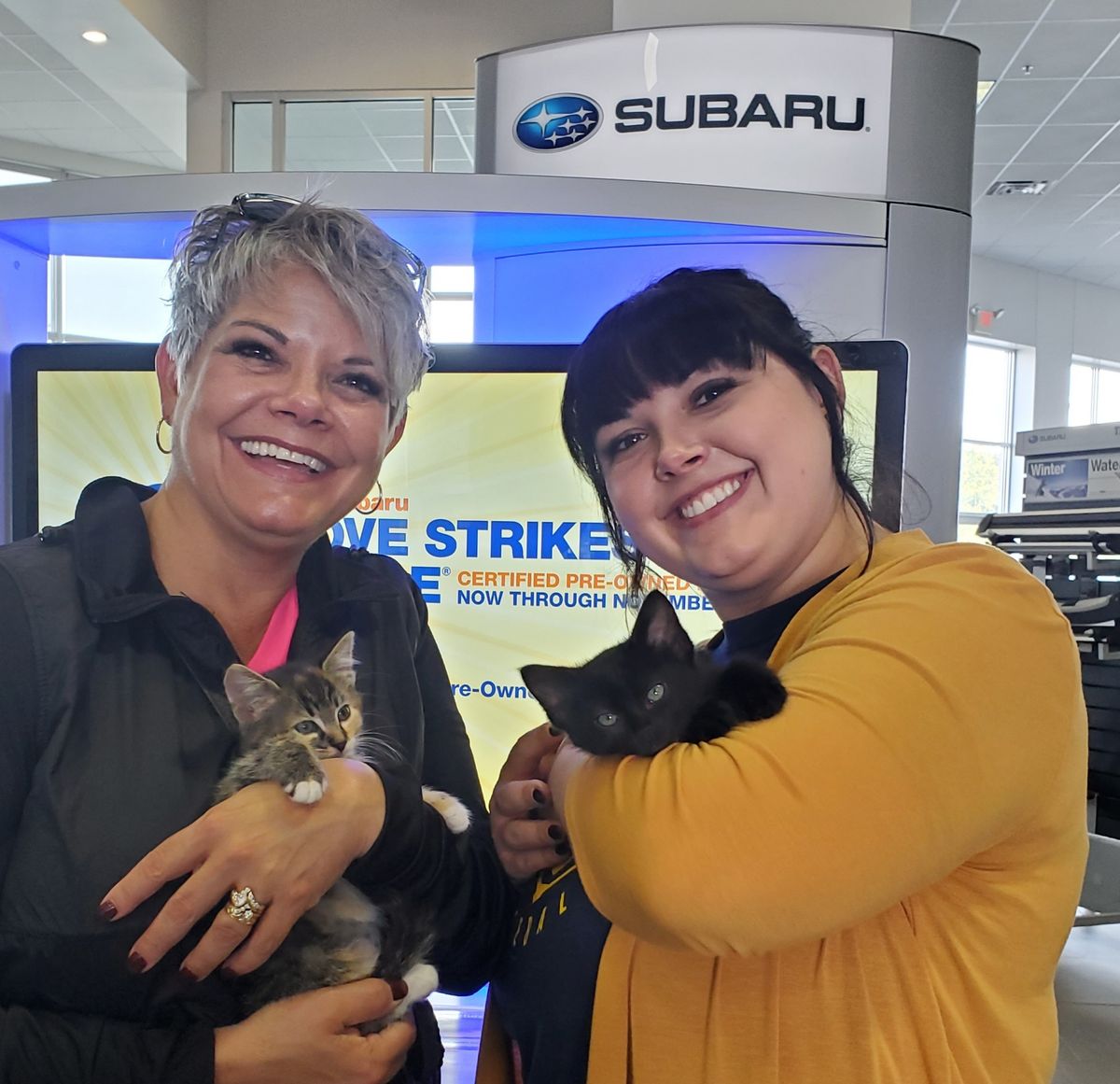 Subaru Same-Day Adoption