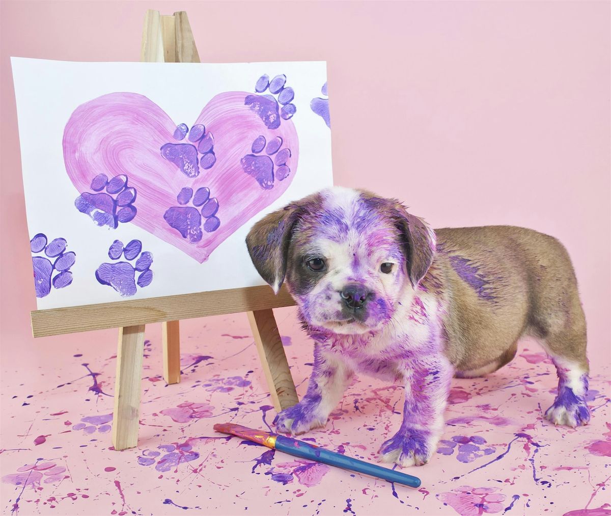 Paws & Paint