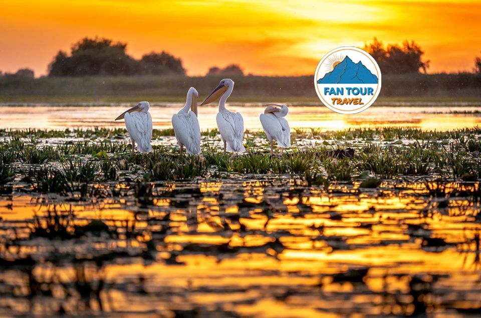 EXCURSIE 1 ZI DELTA DUNARII DE SARBATOAREA FLORIILOR