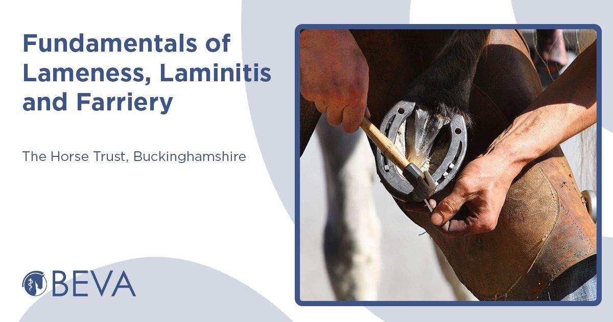 Fundamentals of Lameness, Laminitis and Farriery