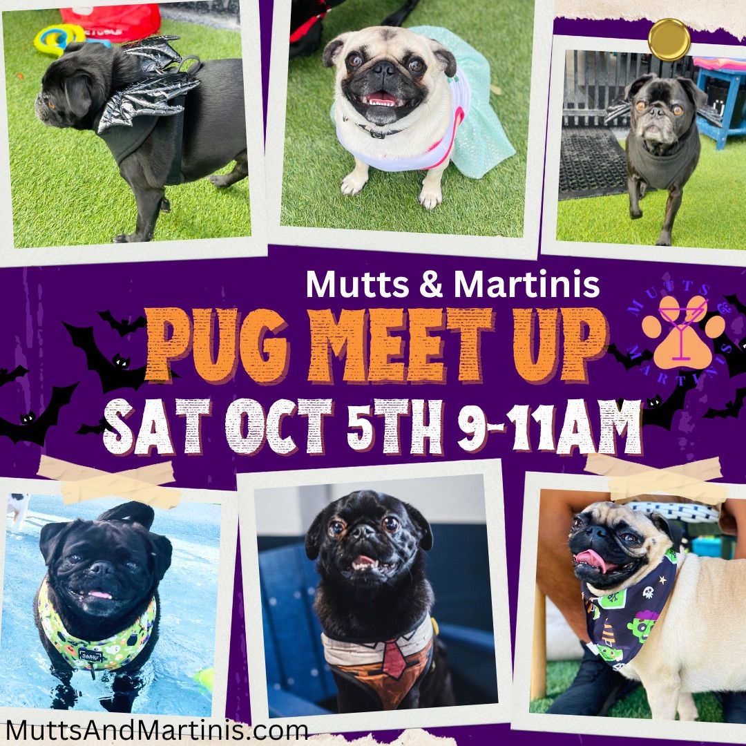 PUG-O-WEEN Meet Up at Mutts & Martinis