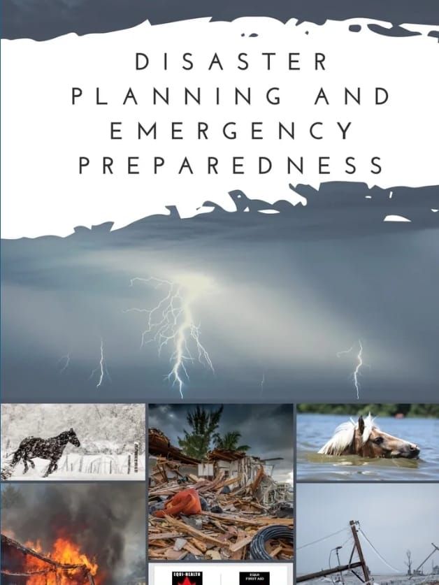 Disaster Planning and Emergency Preparedness-Newnan