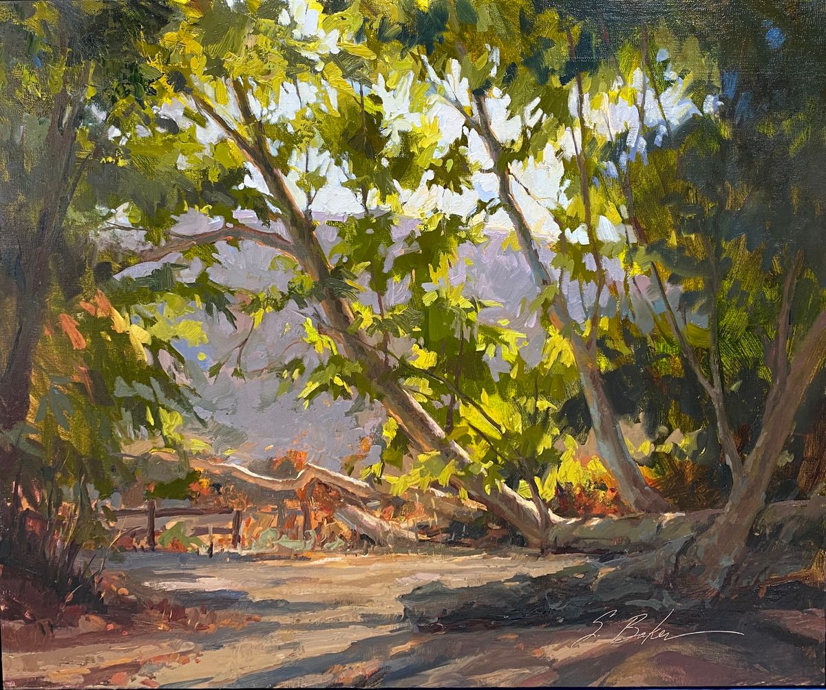 SAM Workshop | Plein Air Workshop with Suzie Baker