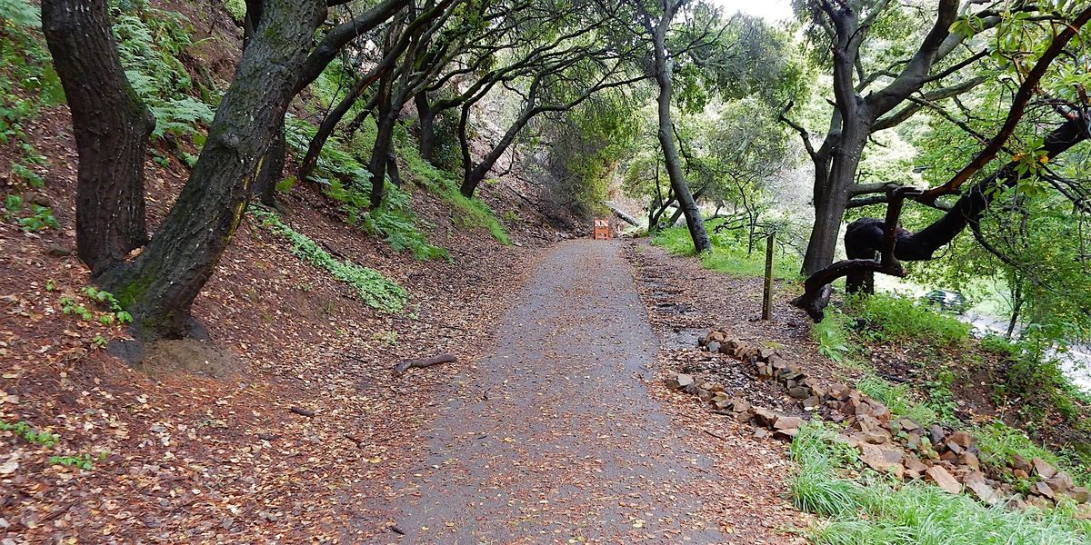 A Geologist's Walk in Shepherd Canyon and the Montclair Rail Trail