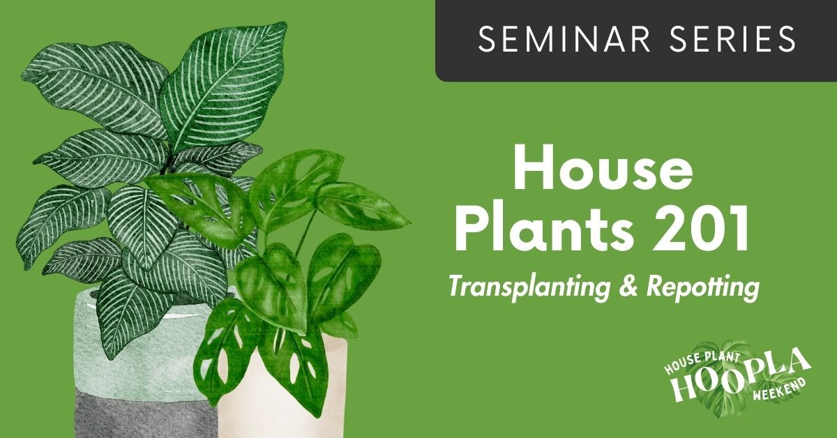 FREE SEMINAR | House Plant 201: Transplanting & Repotting