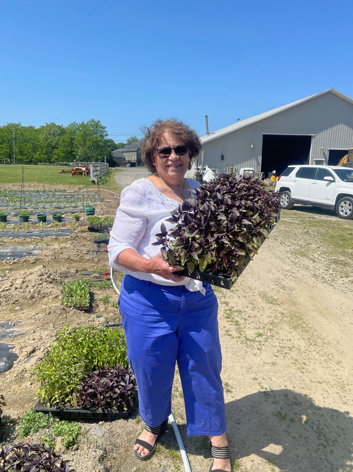 Mother's Day Plant and Bouquet Sale