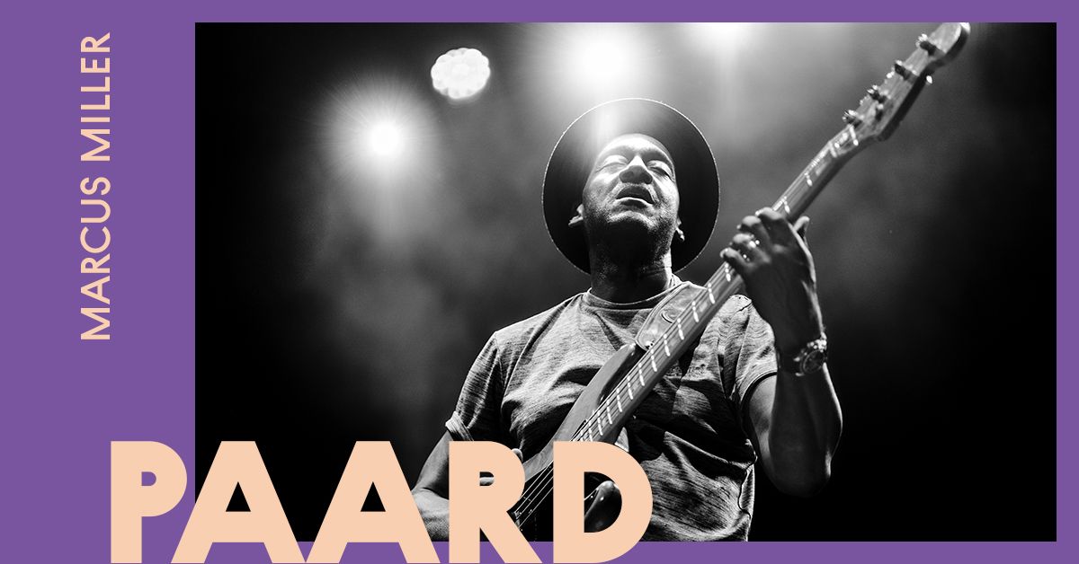 Marcus Miller in PAARD, Den Haag