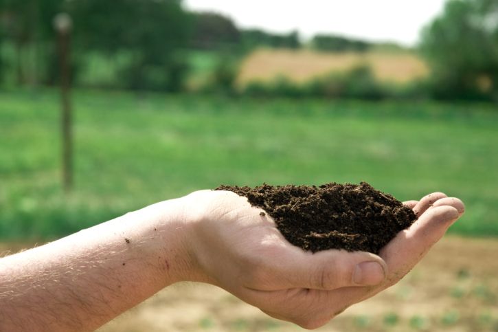 Composting Basics Workshop