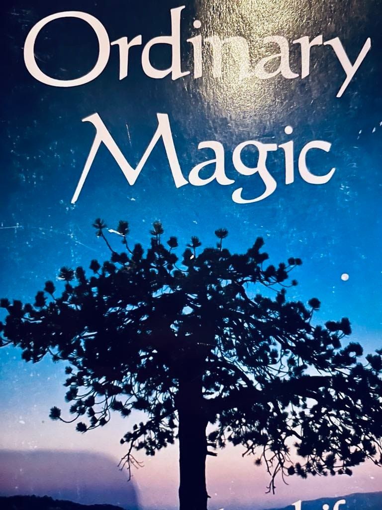 Ordinary Magic 