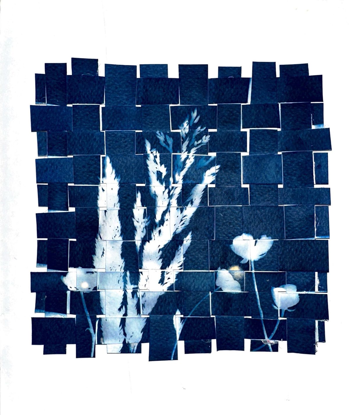 Learn Cameraless Photography w\/Cyanotype Workshop