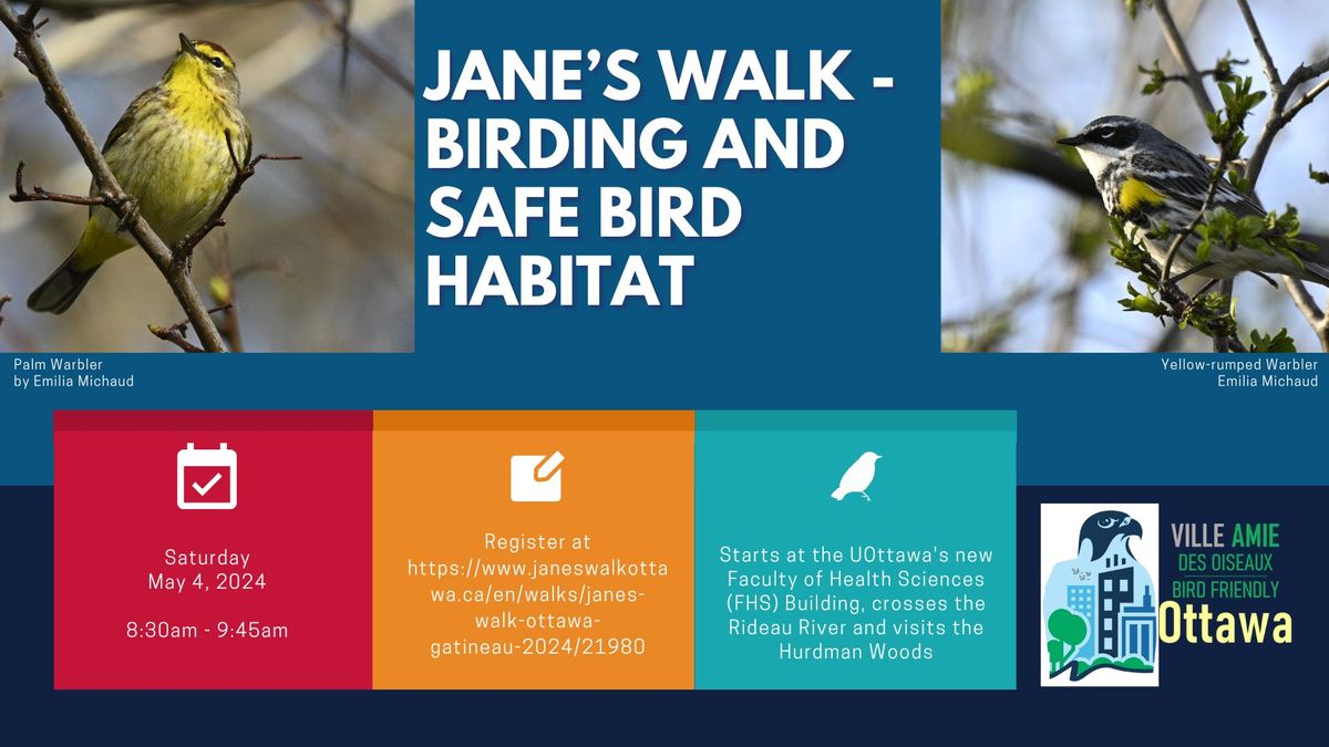 Jane's Walk: Birding and Safe Bird Habitat