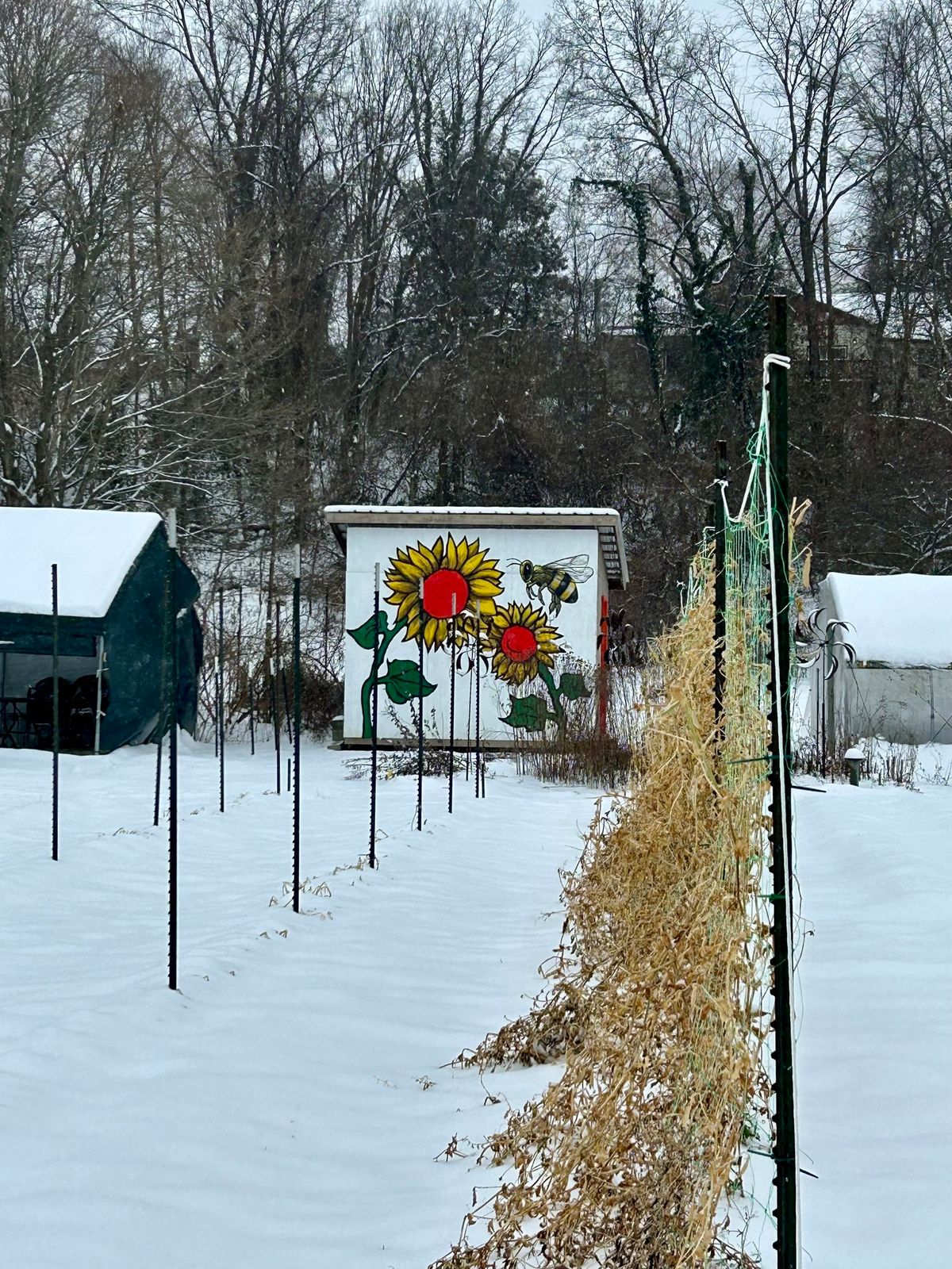 A Winter Gathering