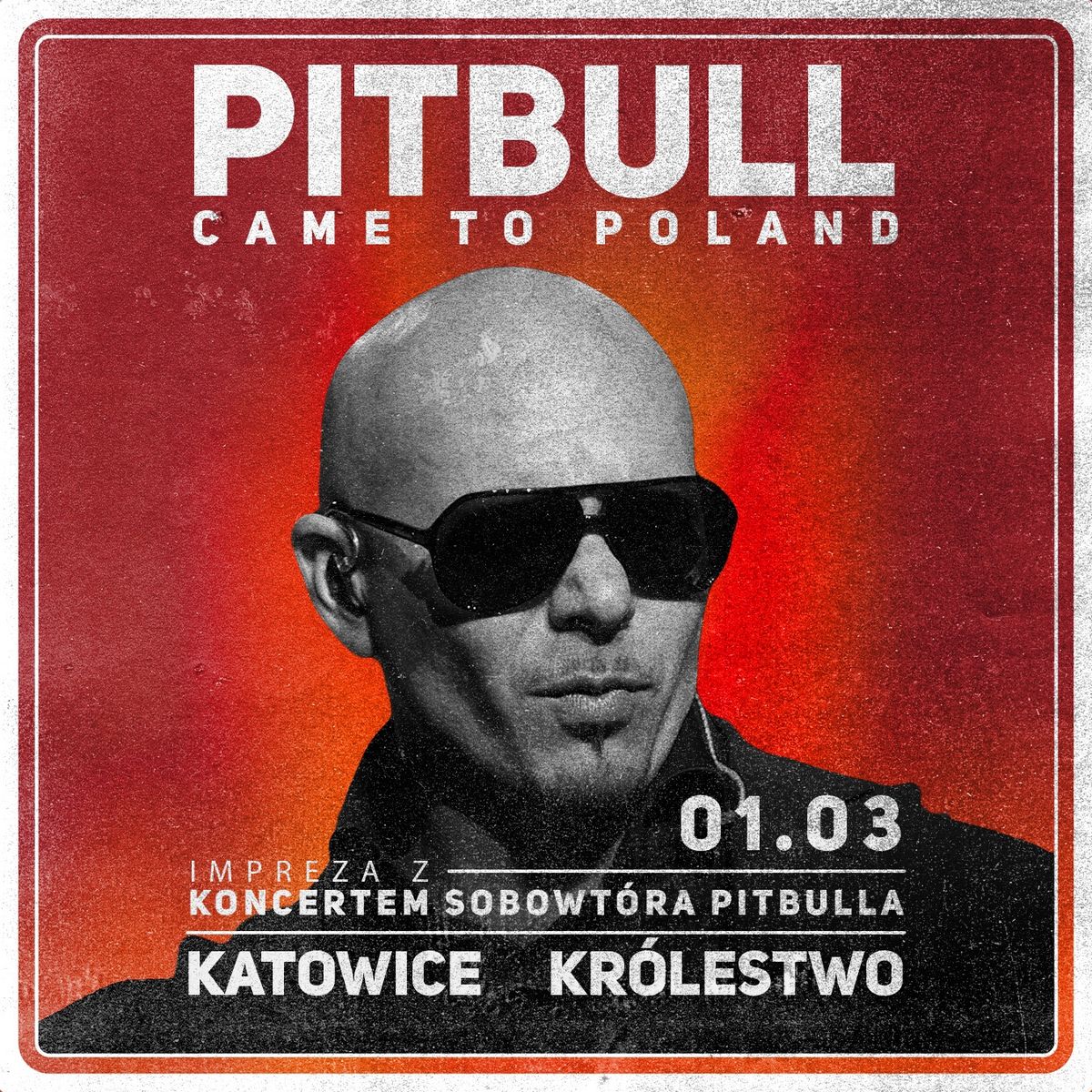 PITBULL CAME TO POLAND | impreza + koncert sobowt\u00f3ra Pitbulla 