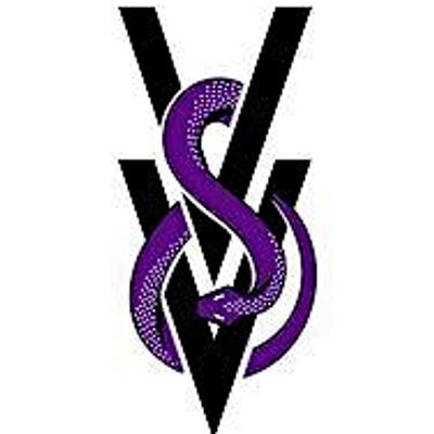 Venom & Vixen Artist Management, LLC
