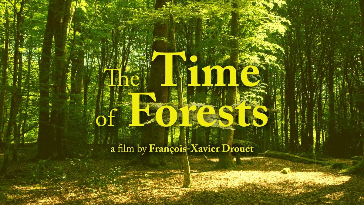 Lystg\u00e5rden kino: The time of the Forests 