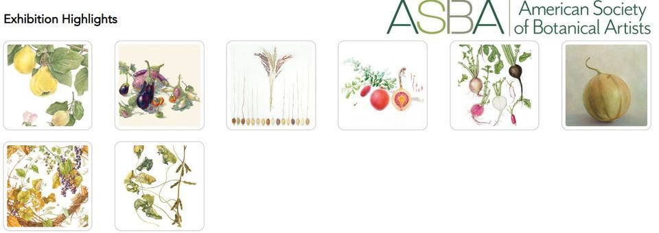 CWHP Family Event On the Rooftop at Leigh Yawkey Woodson Art Museum CWHP Family Event On the Rooftop at Leigh Yawkey Woodson Art Museum