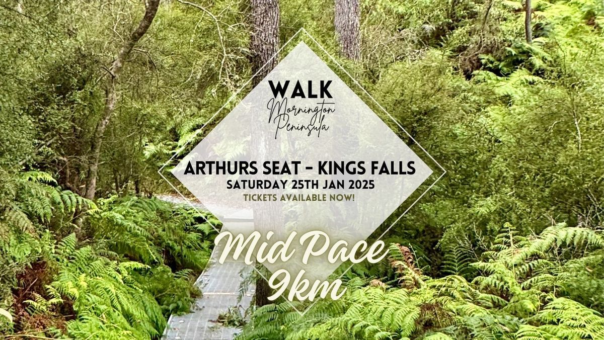 Kings Falls, Arthurs Seat - Mid Pace Hiker 9km's 