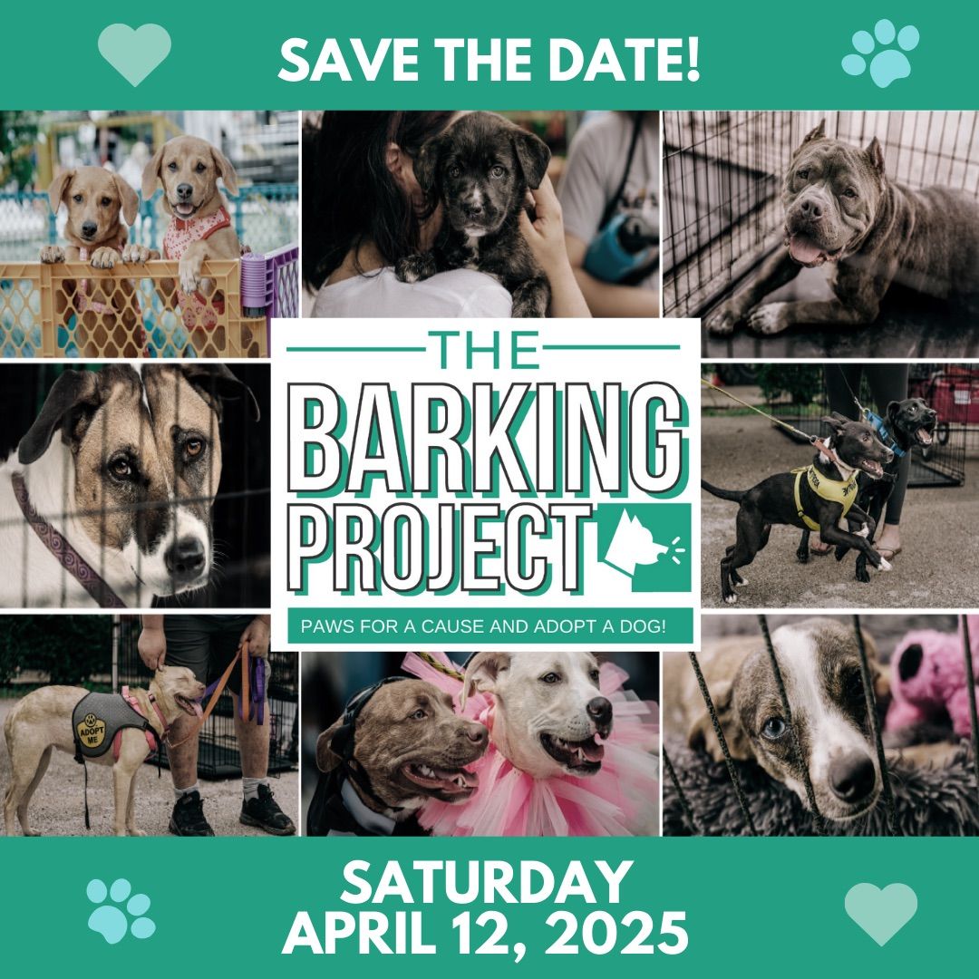 The Barking Project