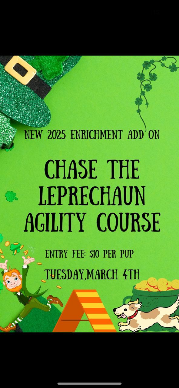 Chase the Leprechaun Agility Course