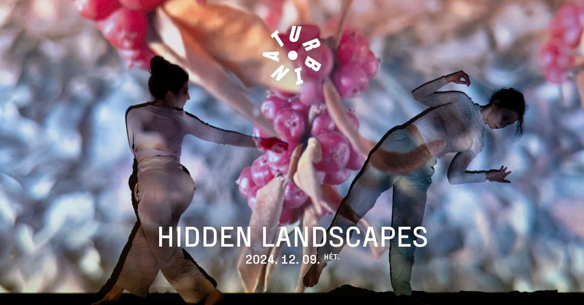 HIDDEN LANDSCAPES