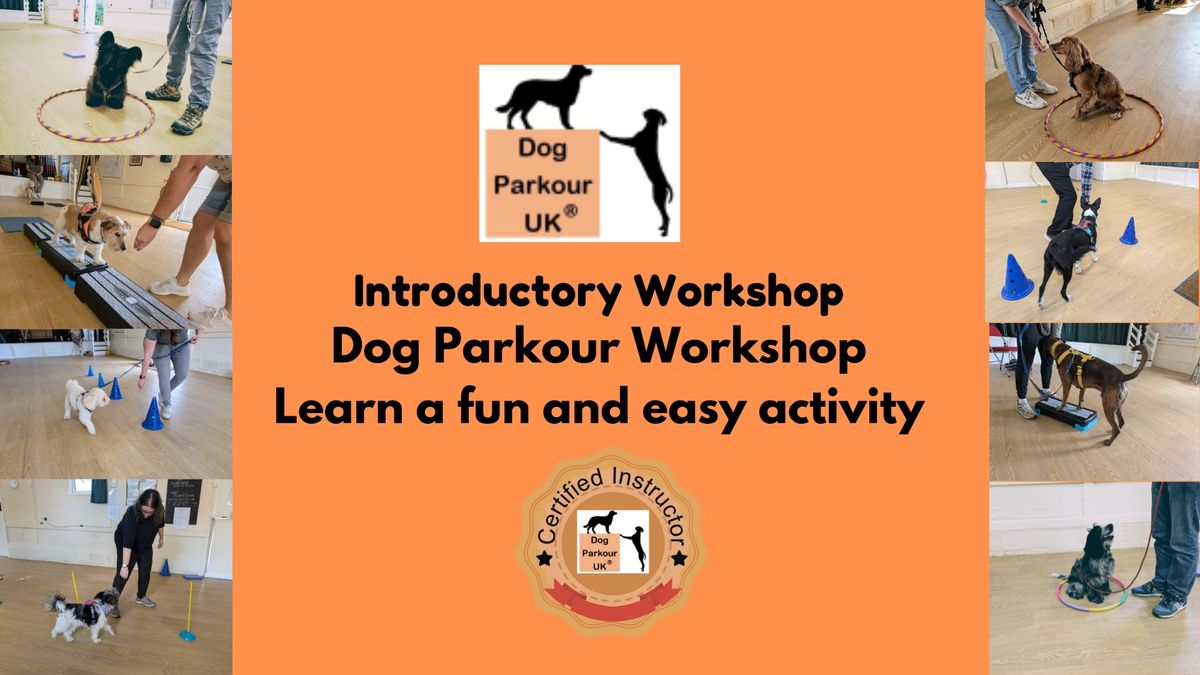 Dog Parkour Introductory Workshop