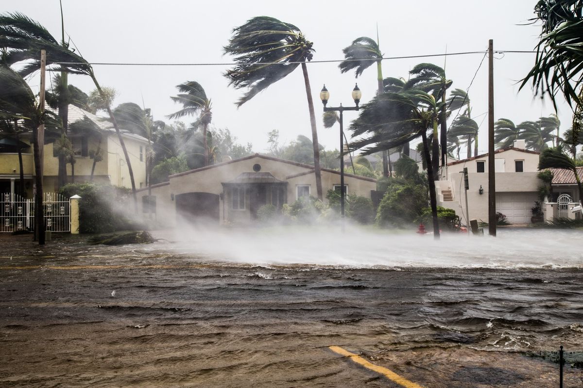 Humanity Against Hurricanes 