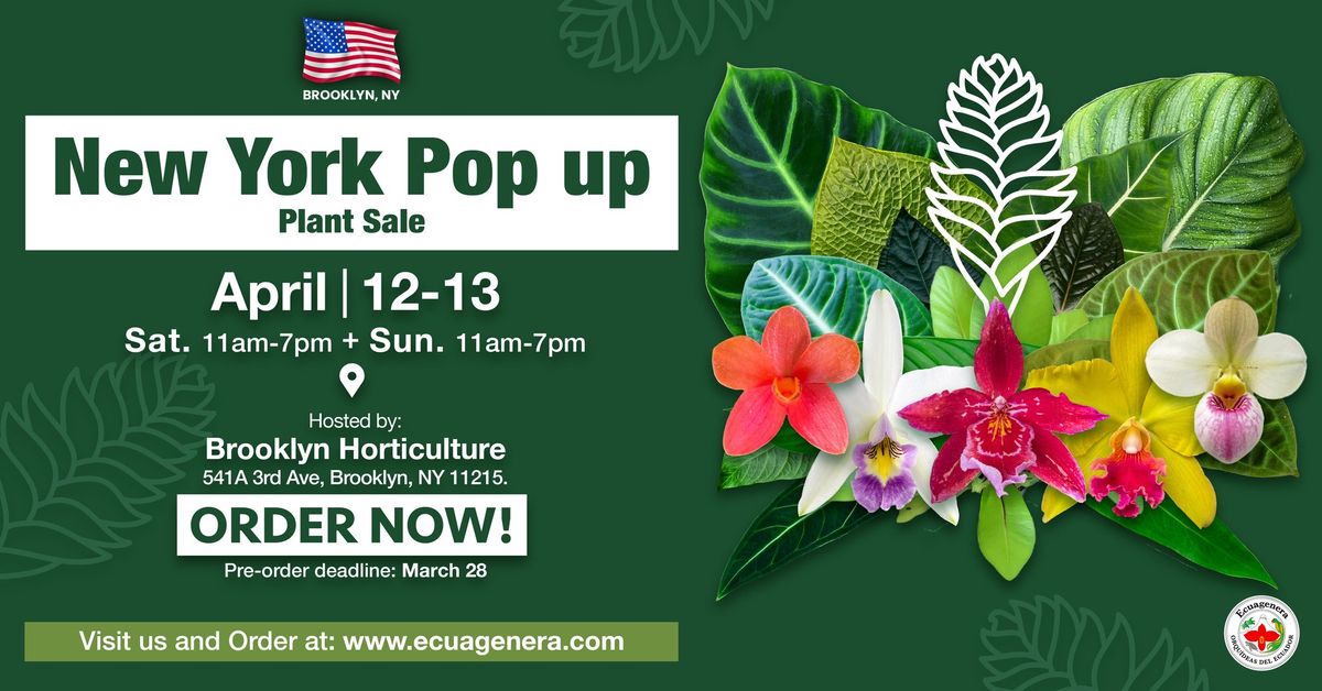 New York Pop up - Plant Sale