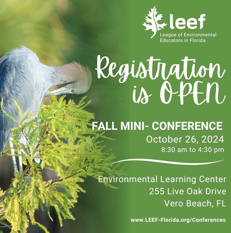 LEEF Mini-Conference