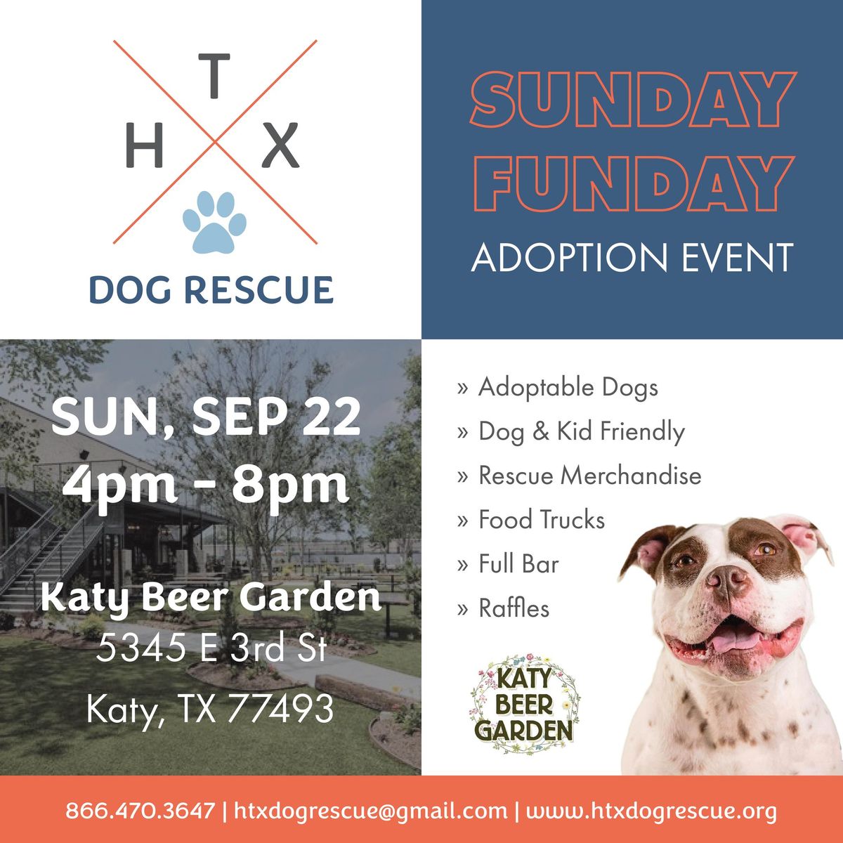 Sunday Funday Adoption Event