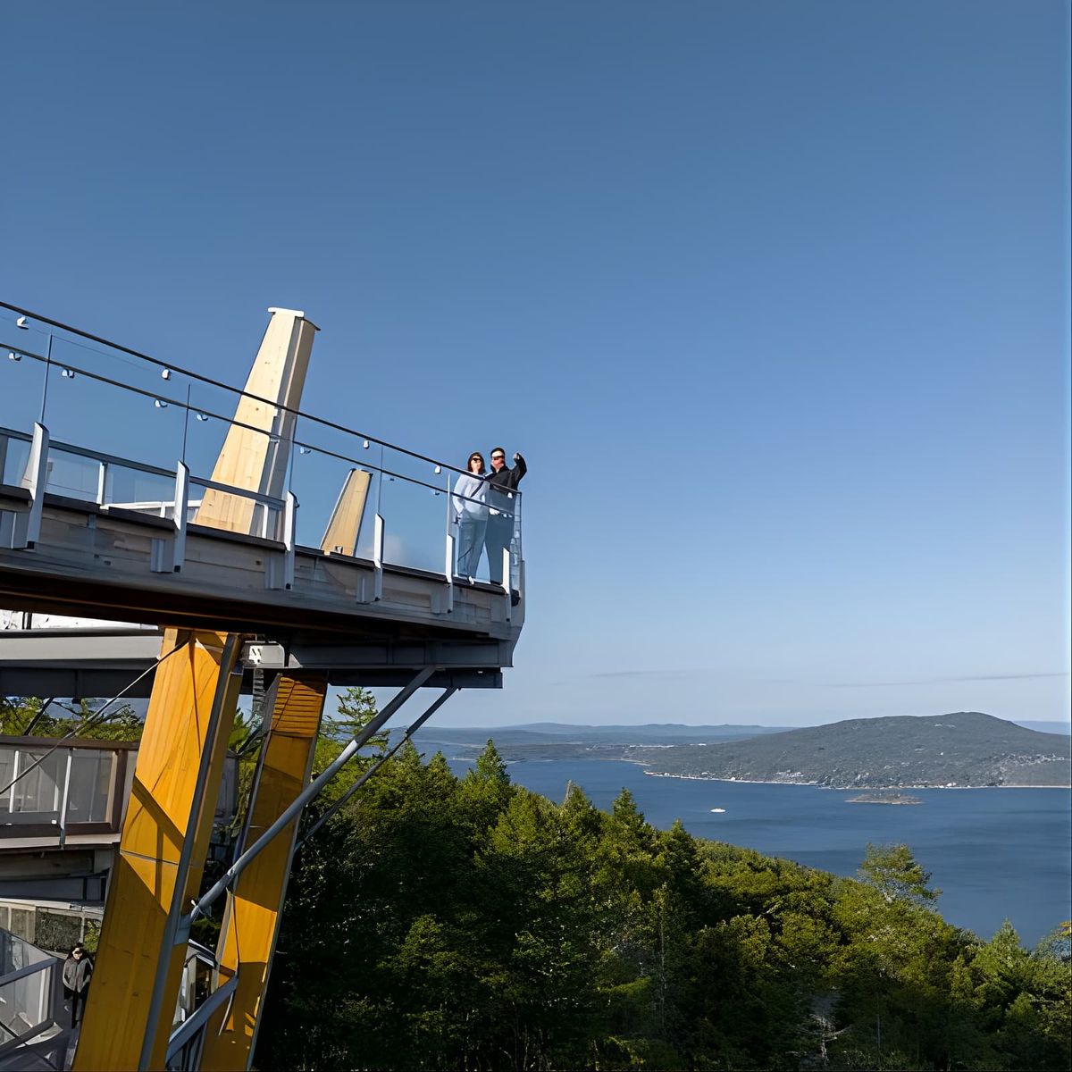 Malahat SkyWalk General Admission Tickets