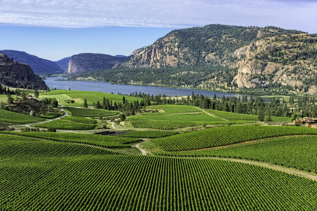 Labour Saving Orchard & Vineyard Demonstration - Kelowna, BC