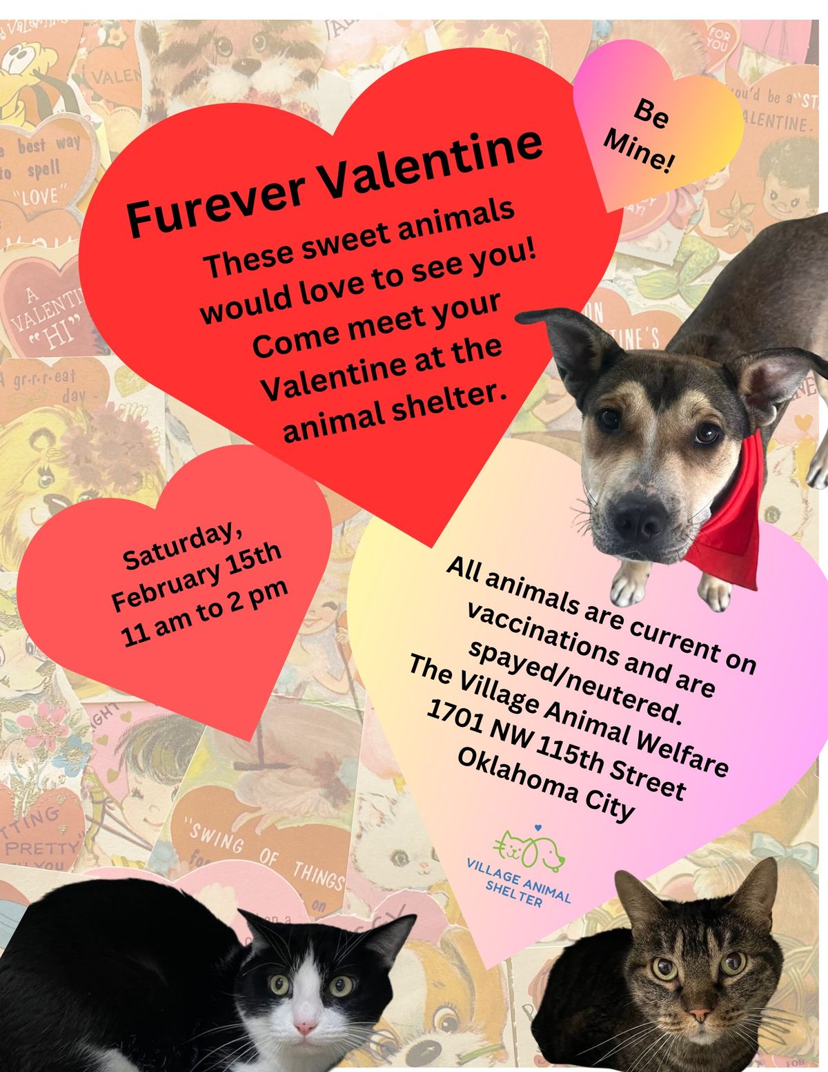 Furever Valentine 