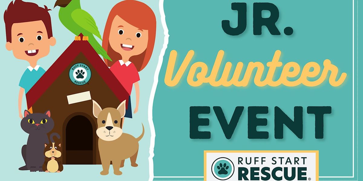 RSR Jr. Volunteer Fall Series: Seasonal Safety