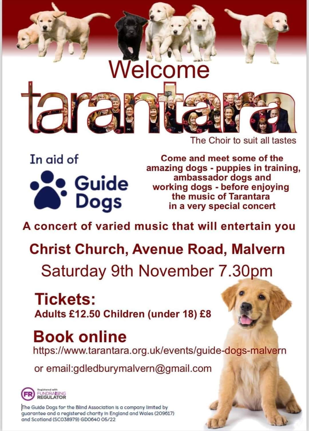 Concert for the Guide dogs for the Blind Association