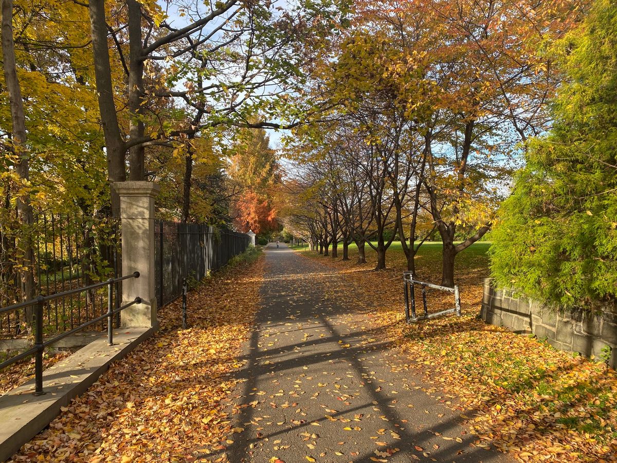 Fall Foliage Walk