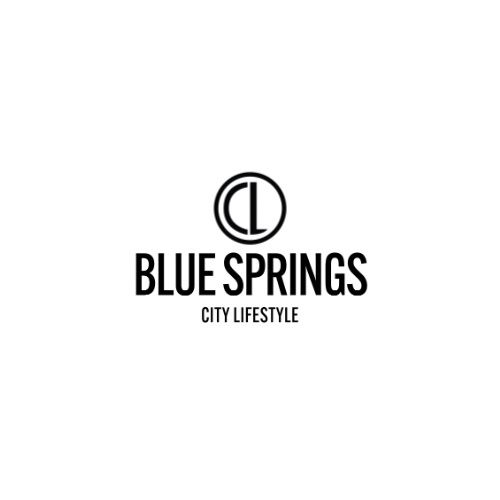 Blue Springs City Lifestyle Launch Party