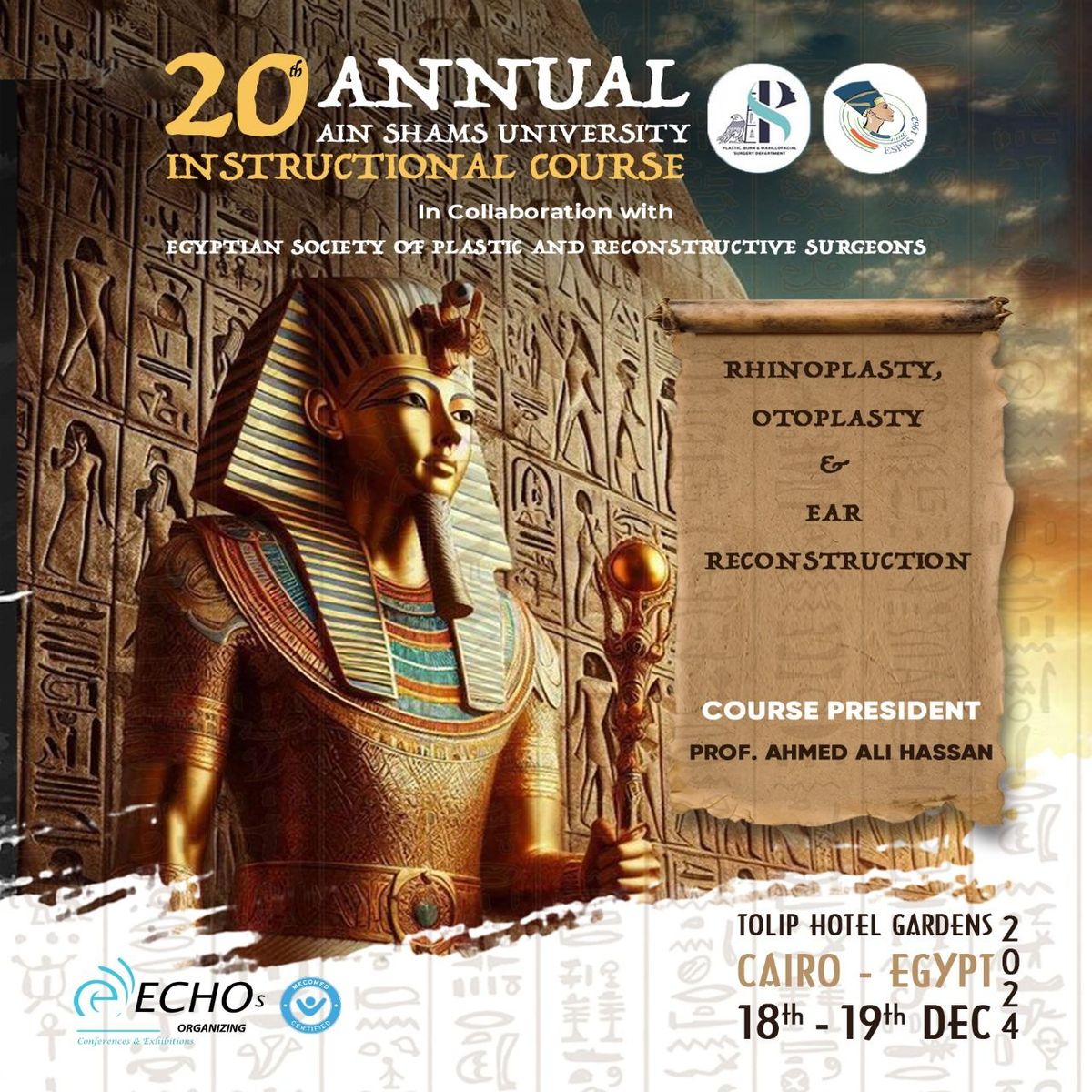 20th Annual Ain Shams Instructional Course