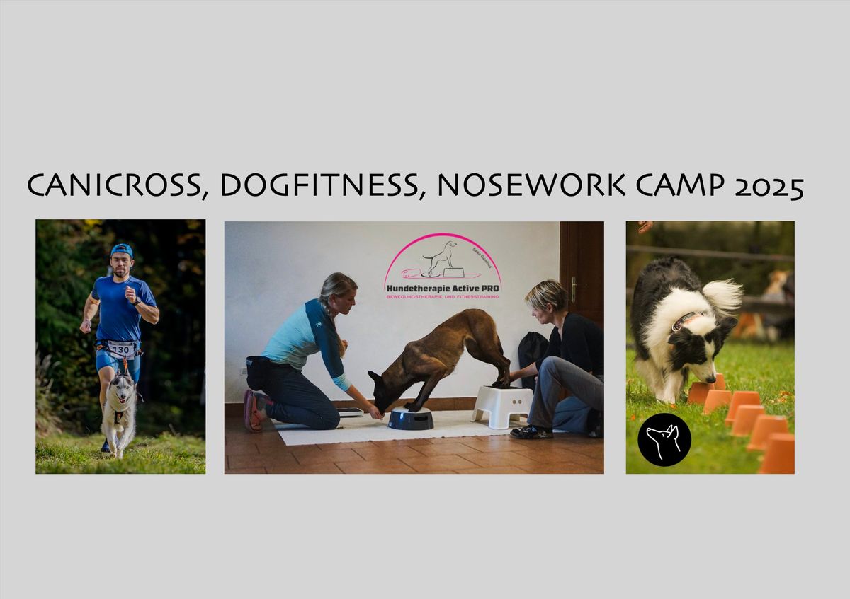 CANICROSS, DOGFITNESS, NOSEWORK CAMP 2025