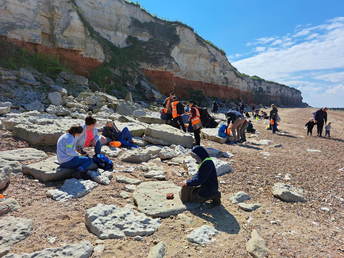 HUNSTANTON FOSSIL HUNT