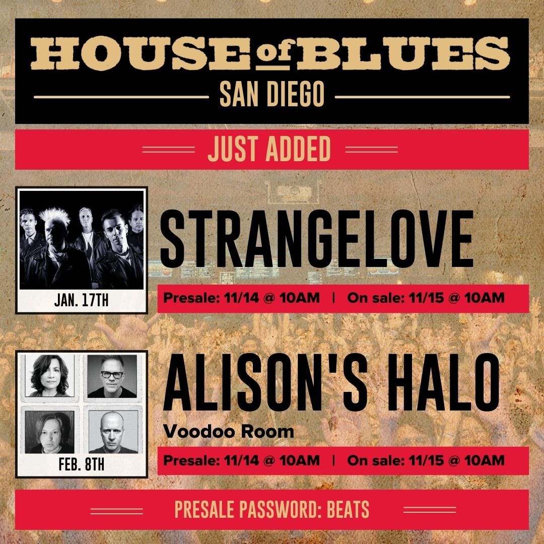 Alisons Halo at Voodoo Room at the House of Blues San Diego