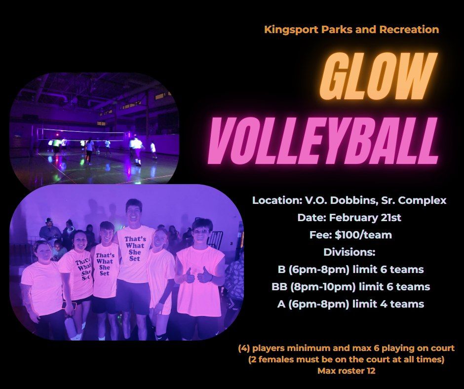 Glow Volleyball