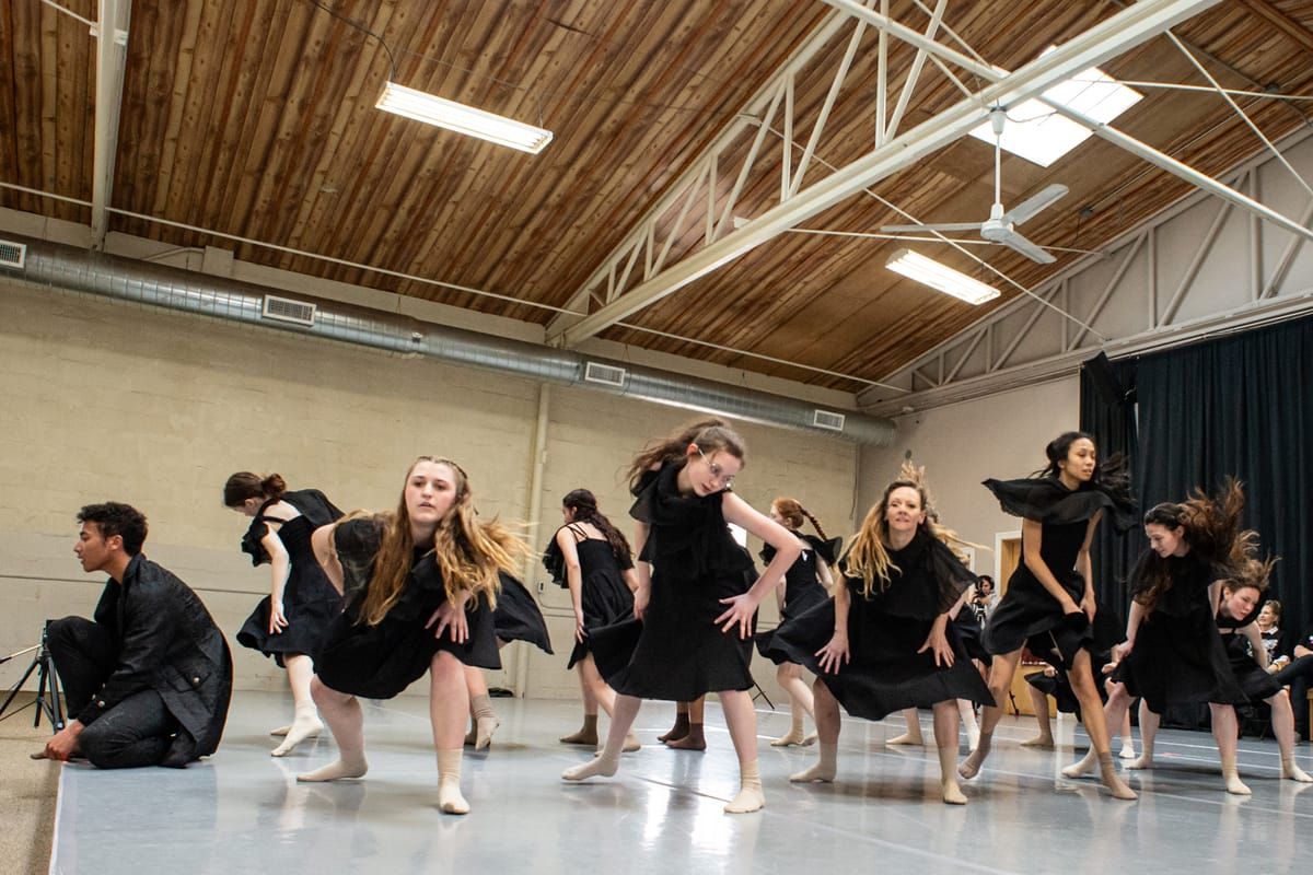 Sequoia Symphony Orchestra: From Brass to the Blues