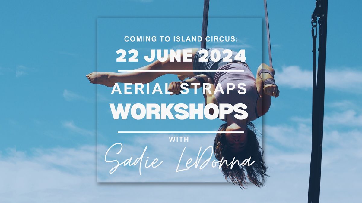 Aerial Straps Workshops with Sadie LeDonna