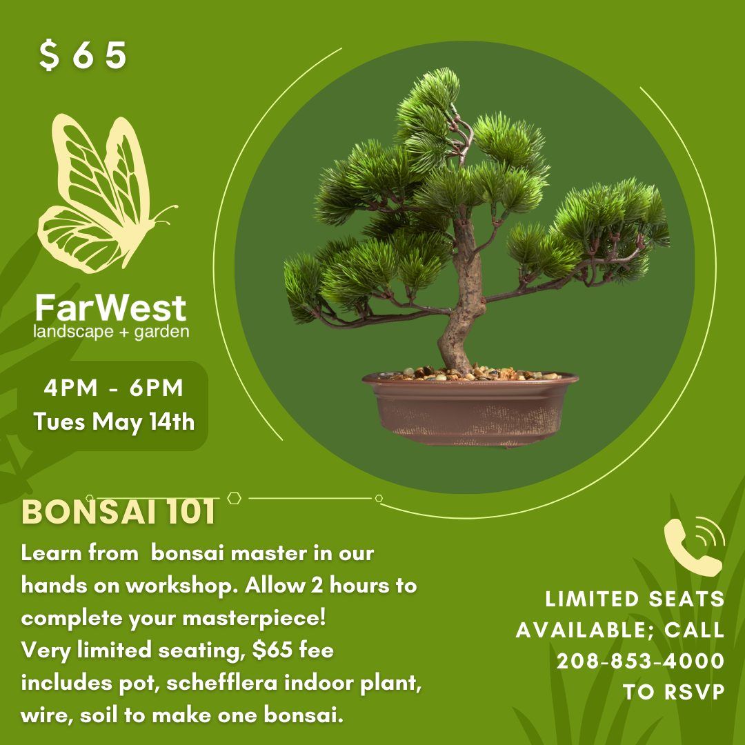 Bonsai 101  $65